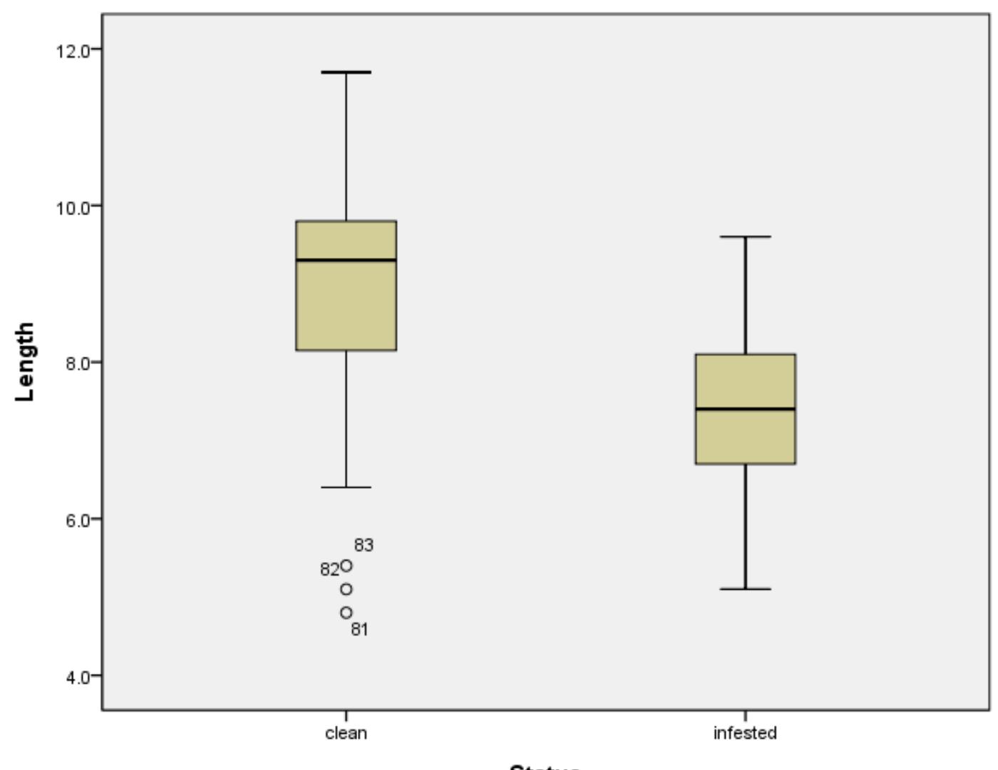 A Box plot was produced to determine if there was a difference in shell length between clean shells and infested shells of U. pictorum. Figure 5.3 shows a _ noticeable difference in unionid mussel length distribution between the clean and infested shells. The median length of clean shells is significantly higher than the median length of infested shells. The boxes do not overlap, but the presence of a number of outliers should be noted for clean shells. The clean shells show a higher maximum length than infested shells, while the infested shells have a lower minimum length when the outliers are ignored.  Figure 5.3: Minimum, lower quartile, median, upper quartile and maximum length of clean and infested shells of the Painter's mussel (numbers refer to outliers). 
