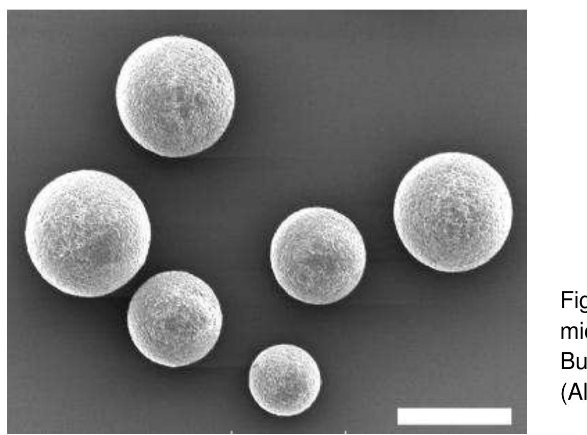 In initial experimentation an initial 12 hour dosing of BioBullets resulted in 60% mortality of mussels. The authors predicted an overall mortality of 84% following a second dosing. To examine the potential toxicity of BioBullets to non-target organisms, 120 individuals of the indigenous unionid mussel Anodonta anatina were exposed to water containing KCI at a concentration that reflected that seen following BioBullet dissociation. Individuals of A. anatina were exposed for 12 hours and then transferred to tanks containing de-chlorinated tap water and observed for 7 days. No mortality was observed in either experimental or control groups following exposure. Unionids are likely to be some of the most sensitive filter-feeding organisms in recipient waters (Bogan, 1993). It was therefore concluded that that BioBullets containing KCI and dosed at the levels used in the experimentation are unlikely to impact on nontarget biota (Aldridge et al., 2006).  There are a number of disadvantages to the use of chlorine, however. The prolonged dosing period required for chlorine to control dreissenids results in delays during which the negative effects of biofouling on infrastructure will continue. Chlorine is rather expensive and hazardous to transport, store, and handle. Chlorine dosed into pipelines that exit into open ecosystems can impact deleteriously on non-target biota in the recipient waters. Moreover, continuous dosing in raw water produces ecotoxic trinalomethanes (THMs) by reaction with organic material in the water (Bernabeu et al., 2011). Therefore it makes sense to examine possible alternatives to the current use of chlorine to mitigate mussel fouling. One such alternative is the BioBullet (Figure 6.5). The approach involves the microencapsulation of crystals of potassium chloride (KCI) which is toxic to zebra mussels, with particles that are edible to zebra mussels (Aldridge et a/., 2006, Elliott et a/., 2010). The main benefits of this method are: 