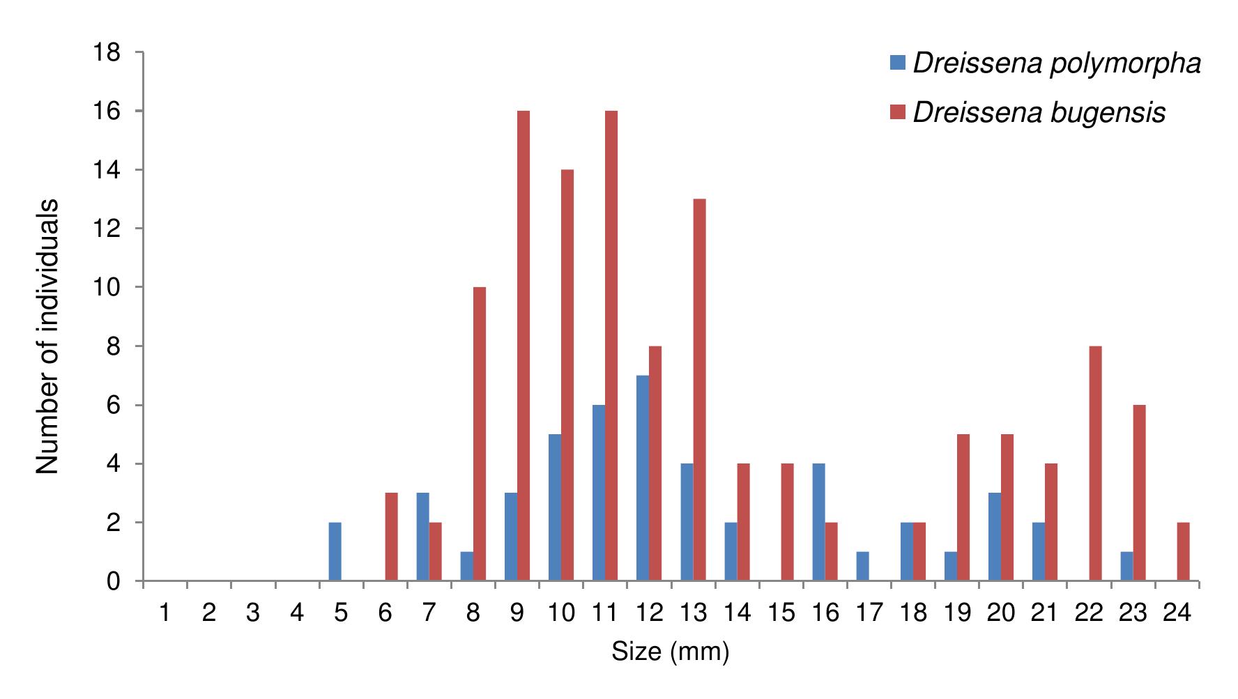 Figure A5.2. Population structure of sampled dreissenid populations in the river Meuse near Milsbeek at the junction with the river Niers (MaSi). 