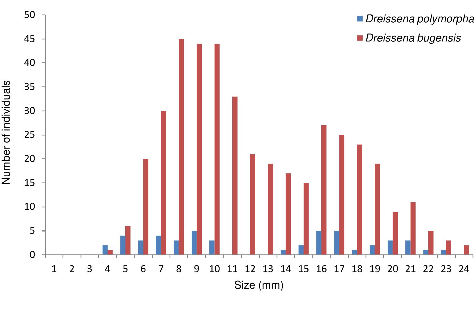 Figure A5.3. Population structure of sampled dreissenid populations at the river Meuse at Middelaar (MaS1). 