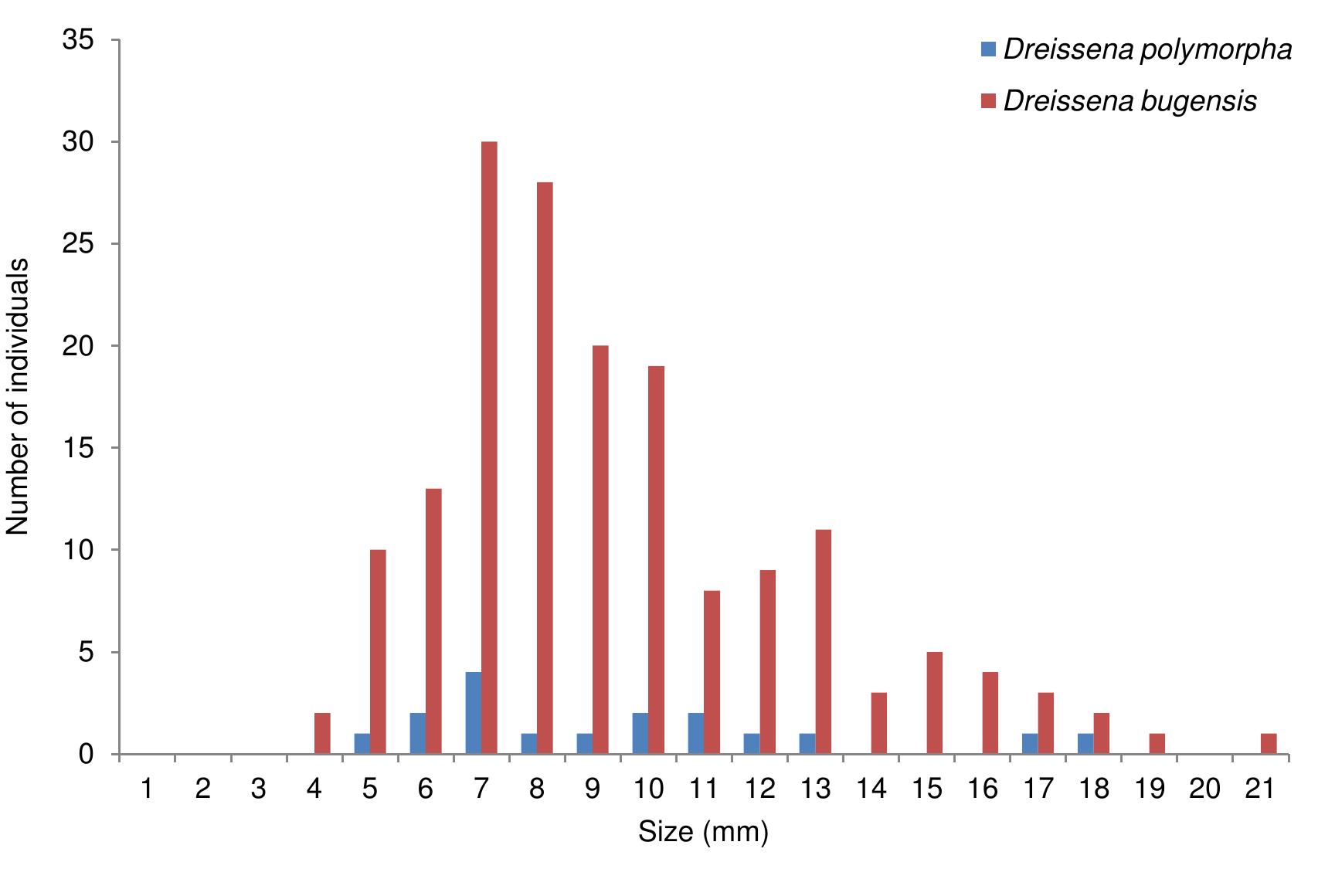 Figure A5.4. Population structure of sampled dreissenid populations at the river Meuse at the polder pumping station at Grave (MaW2). 