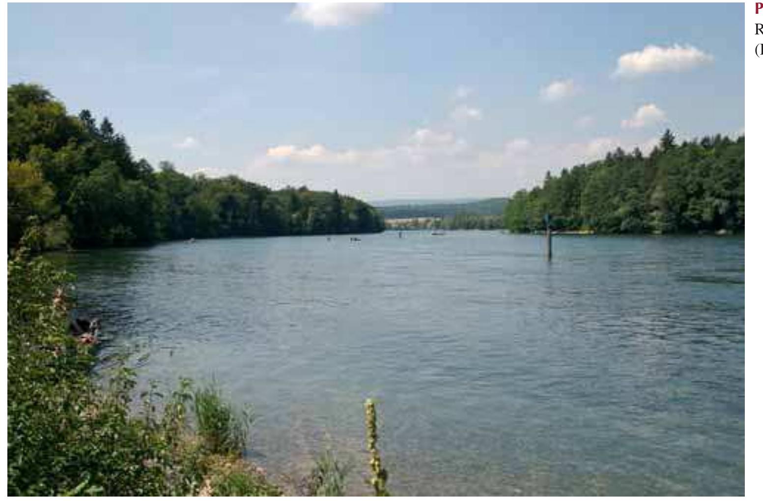 particular, (sediment transport was overestimated because the decrease in sediment caliber by abrasion proved to be smaller than assumed) resulted in channel erosion locally by several meters (Zarn et al. 1995). Efforts to stabilize the riverbed included the construction of boulder ramps and local channel-widening, in addition to a major reduction in gravel extraction. Today, the delta of the Alpine Rhine an- nually grows by 23 m into Lake Constance primarily due to the deposition of fine sediments since coarse sediments (gravel) are extracted near the river mouth. The separation of the Rhine by dikes from its former floodplain required the construction of side channels as recipients of side tributaries and groundwater. These channels drain parallel to the chan- nelized river before they discharge into the Rhine or directly into Lake Constance.   Lethand tributaries drain the south slopes of the Black Forest and parts of the southwestern spurs of the Swabian Alb. Right-hand tributaries include the two major High Rhine tributaries, Aare (Qyean 559 m?/s) and Thur Rivers (Qmean 48 m°/s), and smaller rivers draining the northeast Swiss Plateau and parts of the Jura Mountains. Downstream of the town of Schaffhausen (Rkm 45), the river is incised in glacial river terraces. The channel form is typically straight except for a double meander partly incised into the bedrock at Rheinau (Rkm 56). Channel slopes range from 0.03% in the upper 21-km long lake outlet reach to 0.8—1.3% in down- stream reaches. Channel width varies between 120 and 150 m upstream of the Rhine—Aare confluence and averages 200 m downstream. Near-natural channel morphology, and hydraulic conditions prevail in most parts of the free-flowing reaches. Substrate is dominated by gravel; bedrock outcrops (Jurassic limestone or Black Forest granite) at a few sites, resulting in the formation of the 21-m high Rhine Falls near Schaffhausen and rapids such as upstream of Waldshut at Rkm 98 and in Laufenburg at Rkm 122. The Laufenburg rapids once hosted a spectacular salmon run that was lost because of dam construction. 