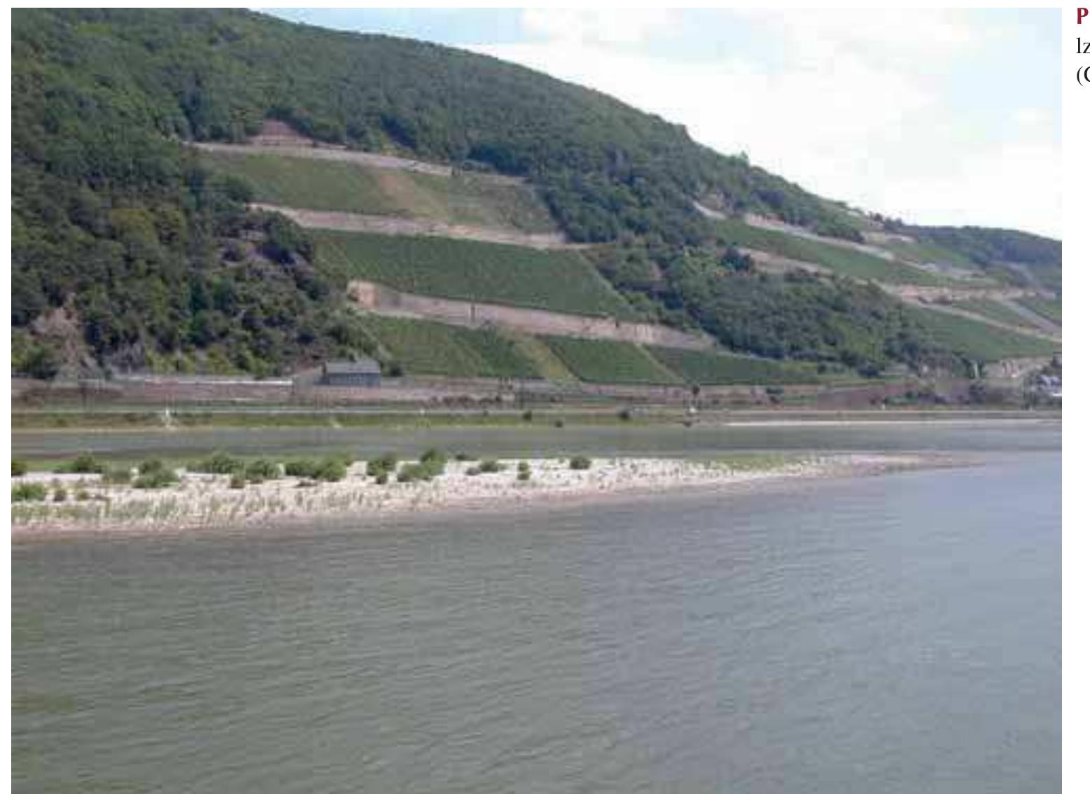 the development of the Ruhr area from a rural area in the early 19th century to the largest heavy-industry landscape in western Europe in the first half of the 20th century. The Lower Rhine basin, a marginal marine rift basin extends into the northern spurs of the Rhenish Massif forming an embay- ment. The sediment fill of the basin contains siliclastic sedi- ments with intercalated lignite (brown coal) originating from peat bogs formed during the lower and middle Miocene when the sea-level was high (Schafer et al. 2004). Today, the up to 100 m thick lignite deposits are extracted by open- cast mining 20-40 km west of Cologne.  ——<—- << = £ <a = = es es | Se lle Ul OS! LULL  River engineering in the late 18th century was aimed to standardize plan view and cross-sections that also included a major loss of islands. Under the direction of a Central Rhine River Administration (Zentrale Rheinstromverwal- tung) constituted in 1851 under the Prussian government, the Lower Rhine was finally transformed to a waterway of uniform depth and width (Photo 6.10). Artificial meander cutting in the 18—19th centuries shortened the length of the thalweg by ~23 km (IKSR 1993). The increased sediment transport capacity resulted in vertical erosion (locally up to 2m), which was aggravated by gravel extraction, reduced sediment supply by tributaries, subsidence of the riverbed following mining, and scouring by ship propeller wash (IKSR 1993). In the 20th century, coal and salt mining below the river lead to depressions of the riverbed, particularly between Duisburg (Rkm 775) and Xanten (Rkm 824). These areas of human-induced subsidence, trap sediments and en- hance erosion in downstream areas despite additions of min- ing debris. Downstream of the subsidence area, vertical erosion rates reach up to 3 cm/y (IKSR 2005). Today, the river is between 300 and 600 m wide, with riprap protected banks and numerous groynes fixing the uniform navigation channel (depth at low flow 2.5—2.8 m) (Photo 6.11). About 640 km? of the original floodplain area of 900 km? are now protected by dikes.  bg) en i eg ee gieewou | acamamerswek out tle Riiwen sbaclécn Teww: bicoccan:  