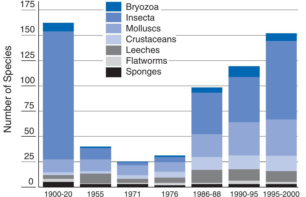FIGURE 6.10 Taxa richness of benthic macroinvertebrates between Basel (river 152 km) and the Dutch-German border (river 870 km) during the 20th century. Taxa levels adjusted to allow comparison between different periods. Modified from Tittizer et al. (1994) and IKSR (2002a). 