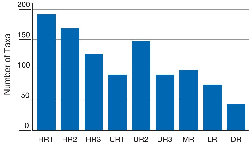 FIGURE 6.11 Taxa richness of macroinvertebrates along the Rhine be- tween the lower Lake Constance and the sea. The same taxonomic level has been applied for all Rhine sections. HR1 = High Rhine between Lake Con- stance and Aare confluence. HR2 = High Rhine between Aare confluence and beginning of the navigable reach. HR3 = High Rhine navigable reach. URI = southern Upper Rhine: Grand Canal. UR2 = southern Upper Rhine: Restrhein. UR3 = northern Upper Rhine. MR = Middle Rhine. LR = Lower Rhine. DR = Delta Rhine. Modified from BUWAL (2002). 