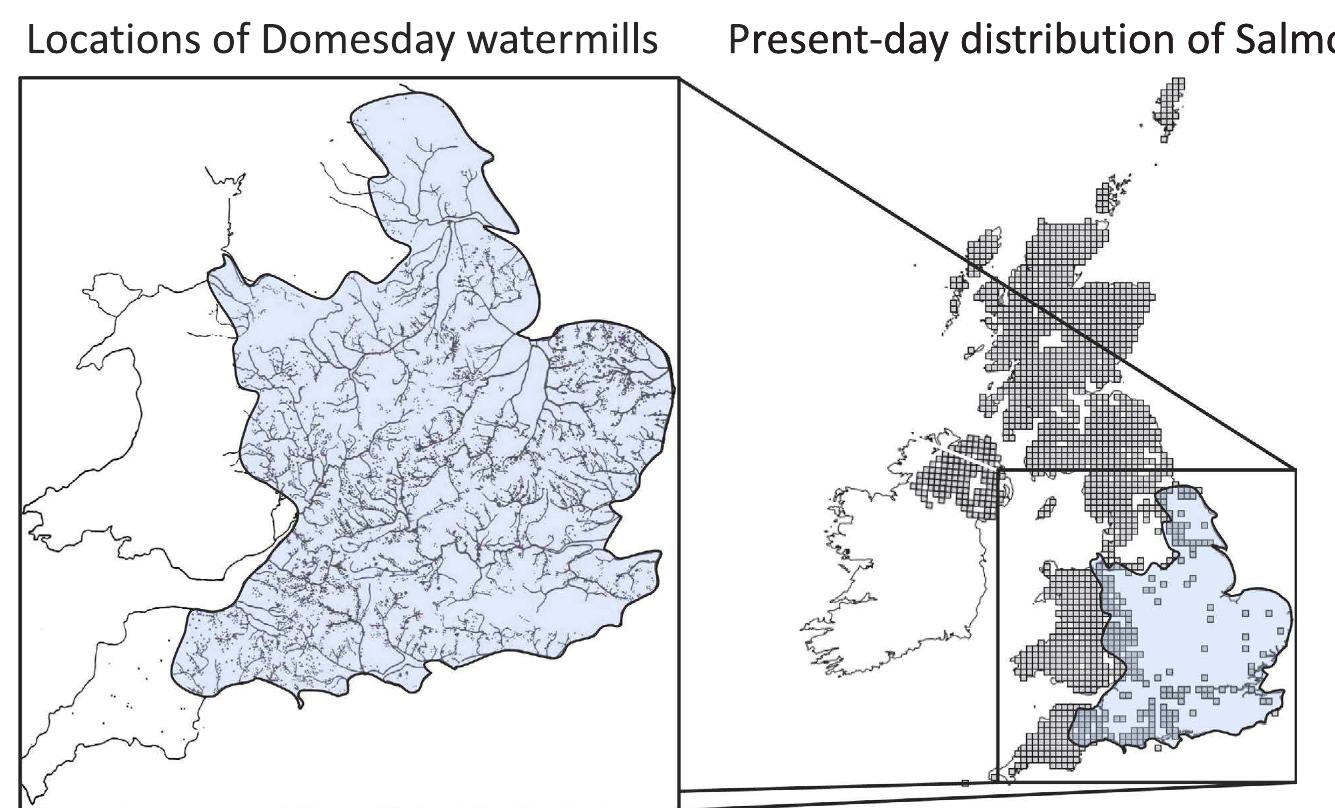 Figure 4. Spatial correspondence between watermill locations and the present day distribution of Atlantic salmon in the United Kingdom. The left panel'® shows an inset with each dot representing a water mill.  The right panel shows a distribution map (© Crown copyright and database rights 2011 Ordnance Survey [100017955]) of Atlantic salmon (filled squares). Data courtesy of the NBN Gateway with thanks to all the data contributors. https://data.nbn.org.uk/Taxa/ NBNSYS0000188606/Grid_Map (Accessed May 2014). The NBN and its data contributors bear no responsibility for the further analysis or interpretation of this material, data  and/or information. 