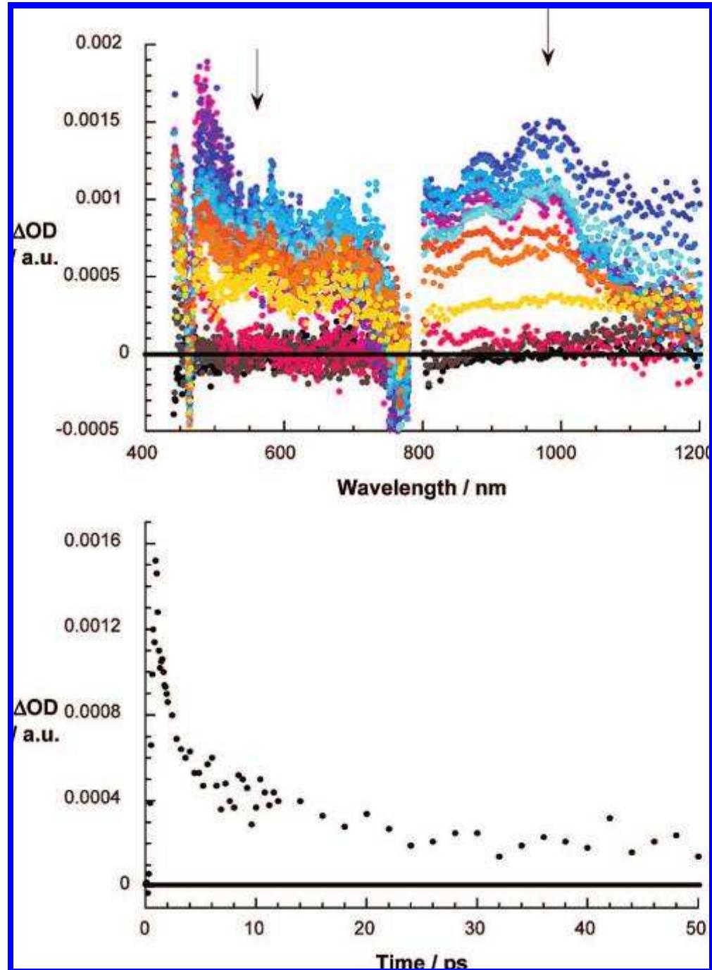 (top) differential absorption spectra (visible and