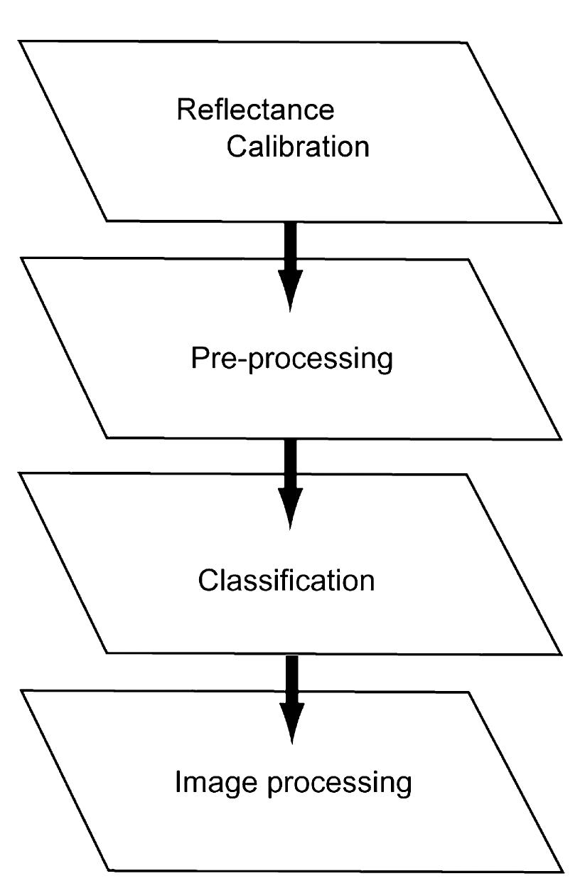 Schematic diagram of hyperspectral data analysis process.