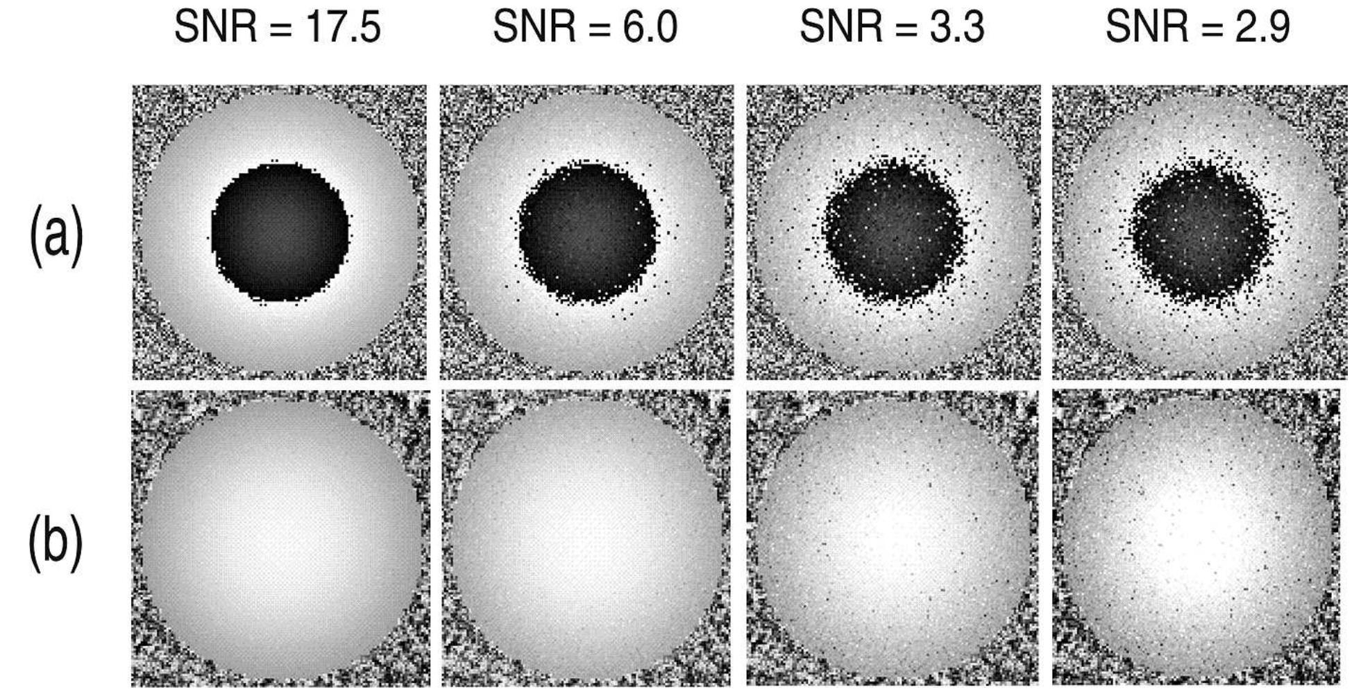 Simulations of a wrapped phase map with no cutlines is shown