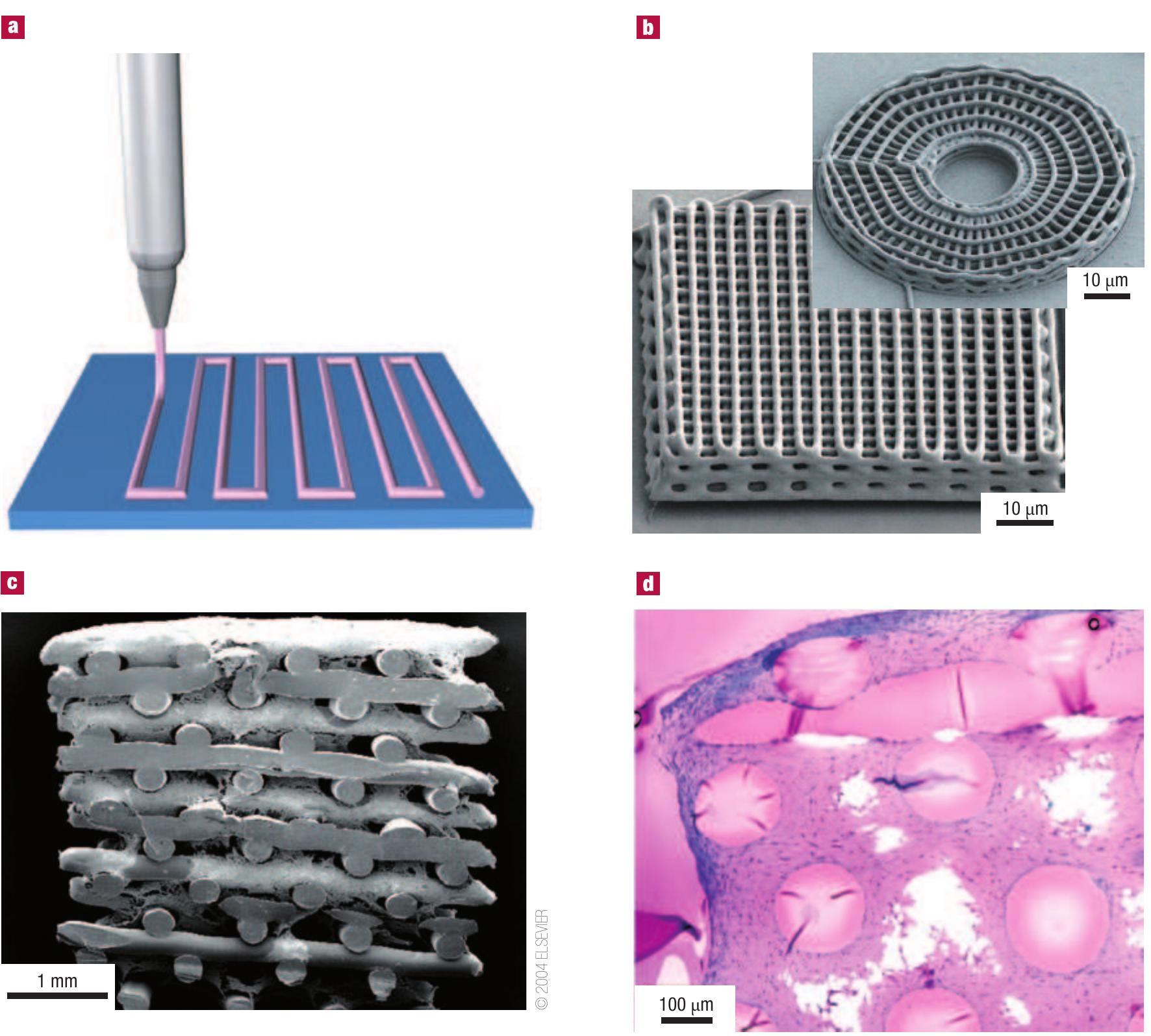 Figure 6 - from Patterning surfaces with functional polymers
