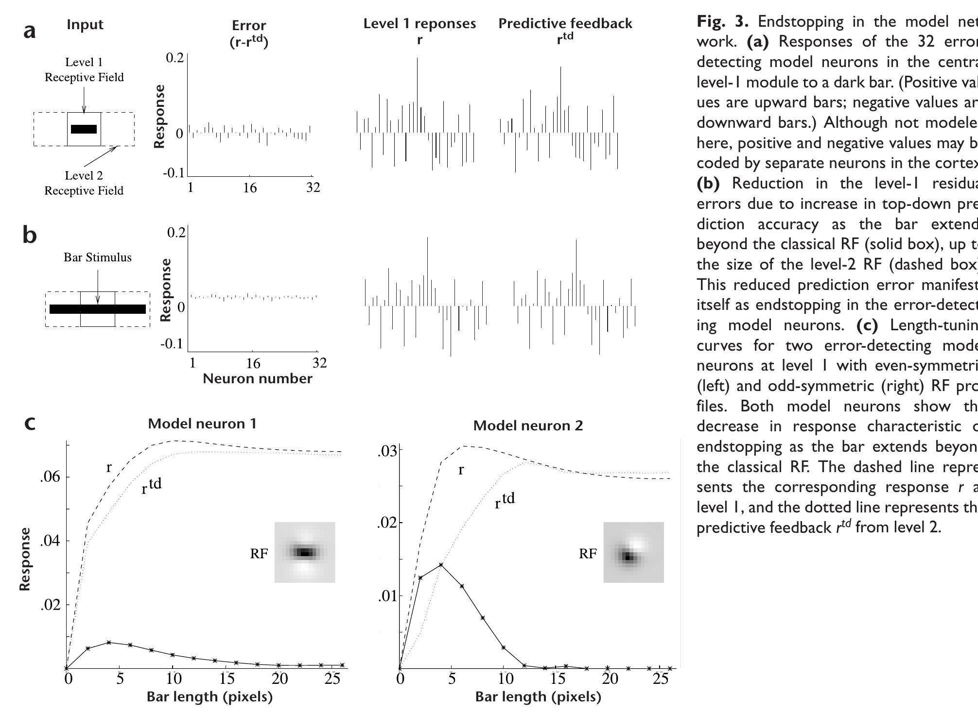 (PDF) Predictive coding in the visual cortex: a functional ...