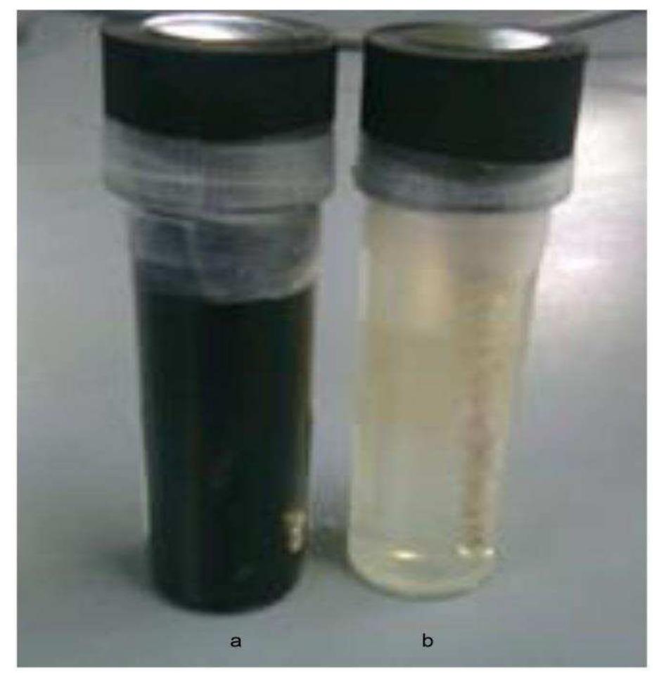 Figure 5: a: SRB present and b: control (Sani Check from Biosan Laboratories Inc, USA).  Ultrasonic treatment  The research exercised low frequency ultrasonic radiation treatment (refer Figure 6) on day-3 