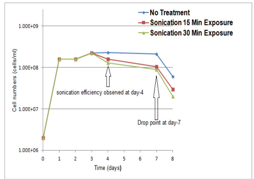 Figure 9: SRB bacteria growth curves incubated at 37°C with ultrasonic. 