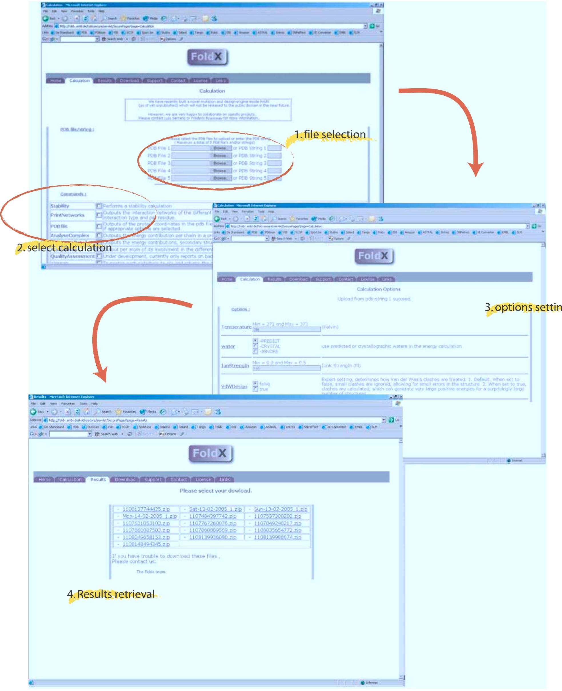Foldx Example (PDF) The FoldX web server: an online force field