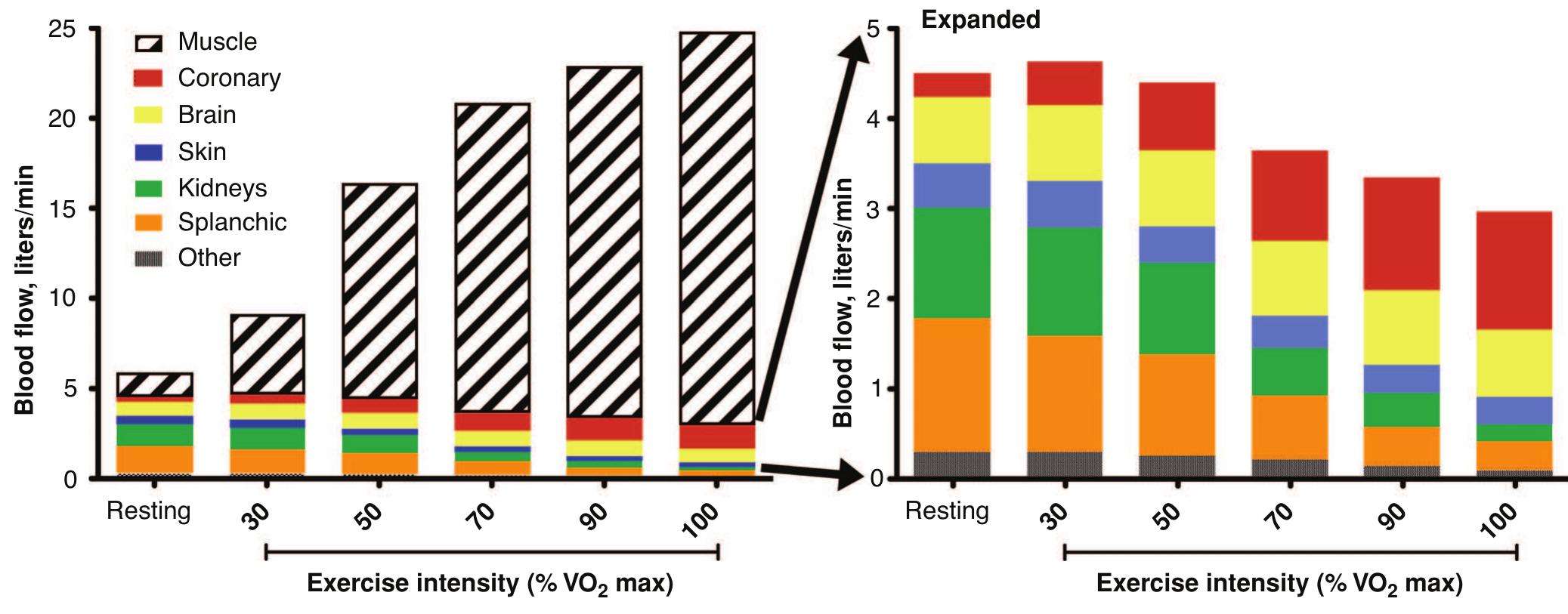 Graph showing a schematic drawing of the intramyocardial