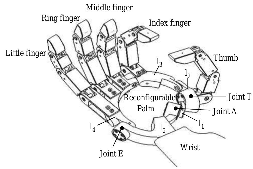 (PDF) Kinematic Analysis and Prototype of a Metamorphic Anthropomorphic ...