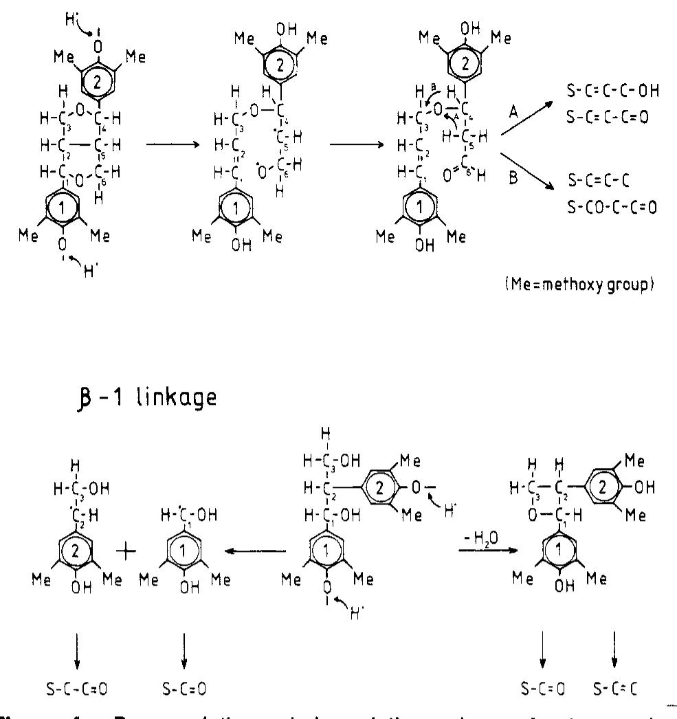 (PDF) Characterization of beech milled wood lignin by pyrolysis-gas ...