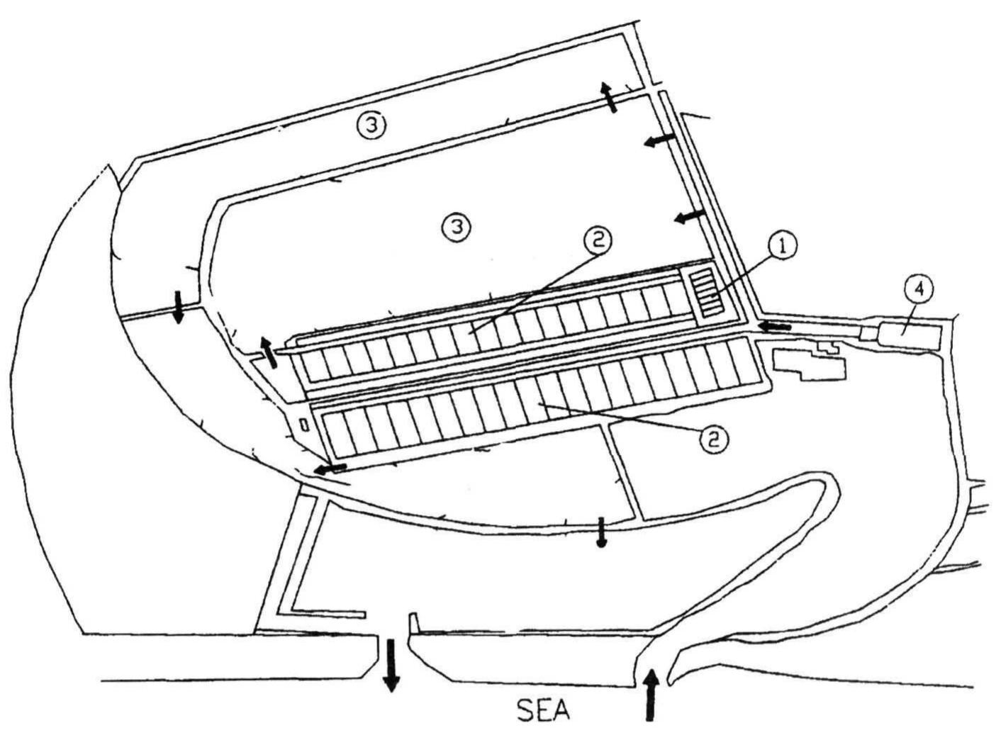 Figure 1 - Design and management of hyperintensive