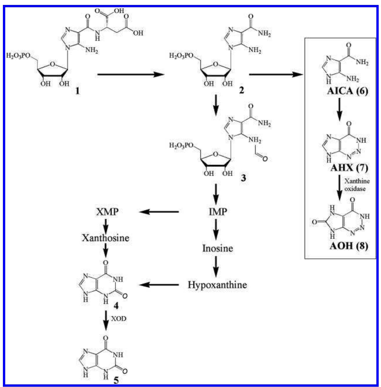 (PDF) Fairy Chemicals, 2-Azahypoxanthine and 2-Aza-8-oxohypoxanthine ...