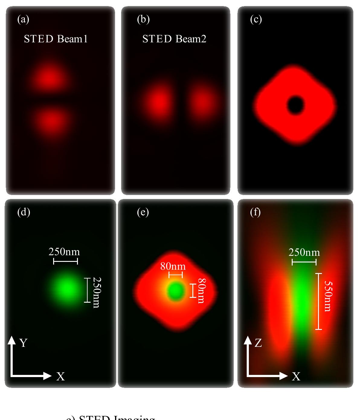 (PDF) Stimulated Emission Depletion (STED) Microscopy: from Theory to ...
