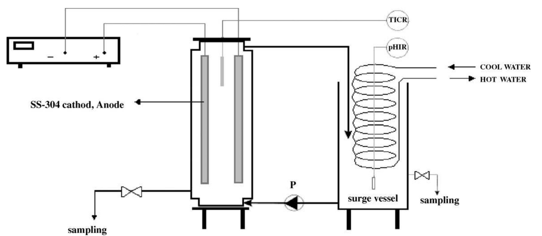 The schematic view of pilot scale reactor: p=direct current