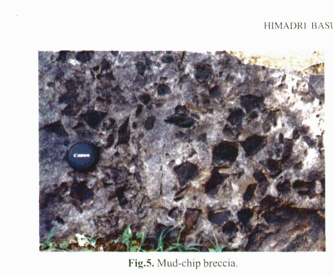 (PDF) Sedimentary facies of Gulcheru Quartzite in the southwestern part ...