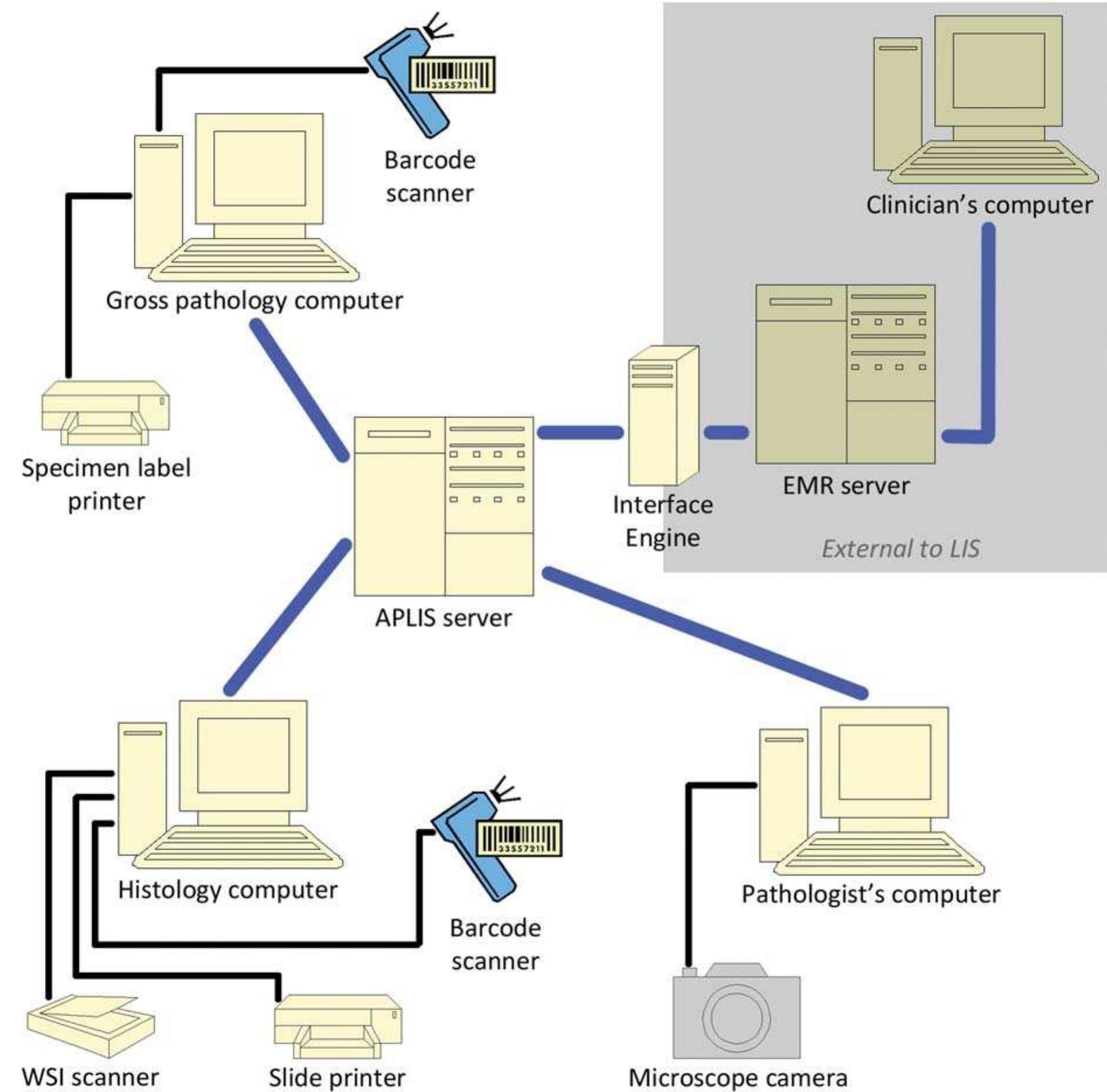 (PDF) Anatomic Pathology Laboratory Information Systems