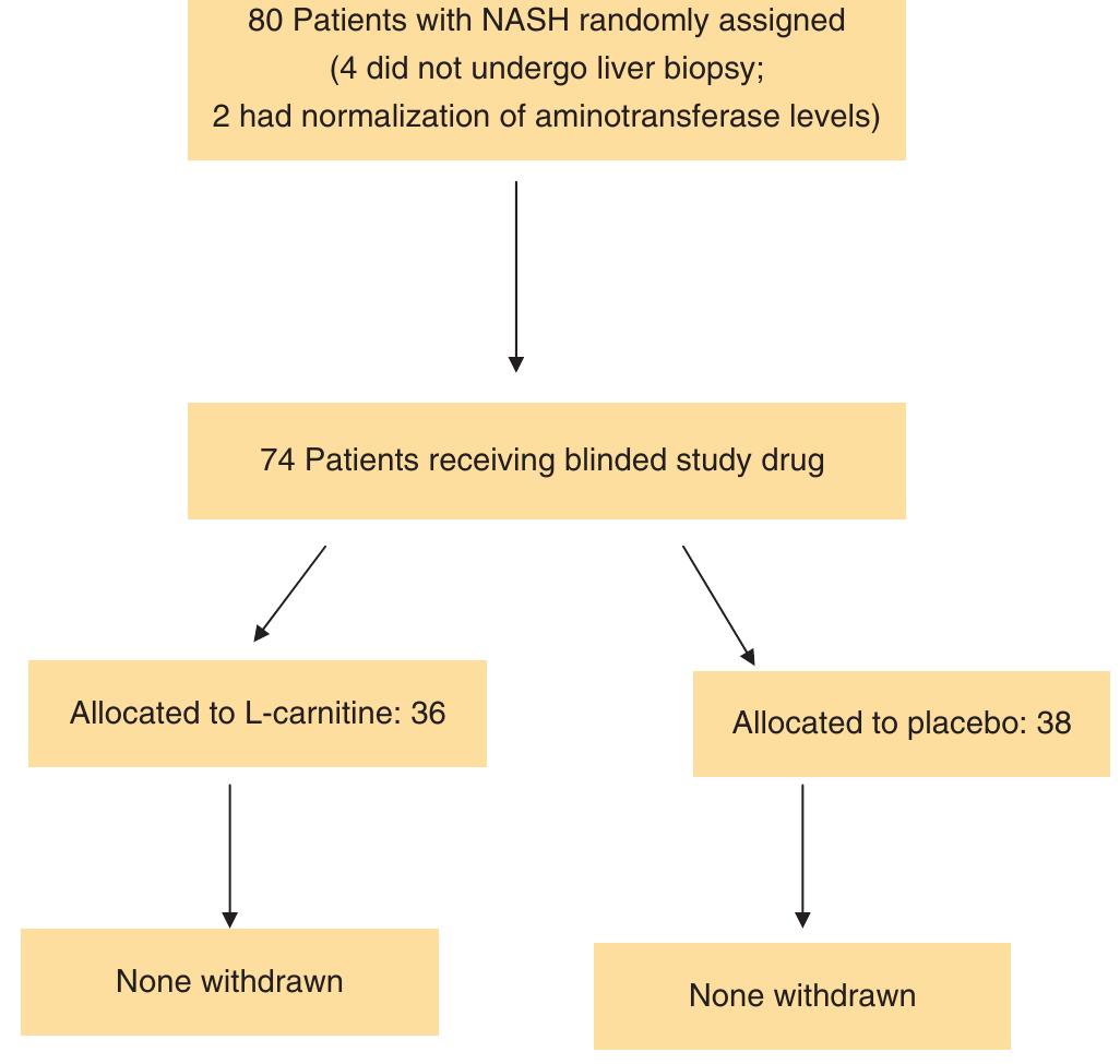 l carnitine therapy in non alcoholic steatohepatitis PDF) L -Carnitine Supplementation to Diet: A New Tool in Treatment of Nonalcoholic  Steatohepatitis — A Randomized and Controlled Clinical Trial