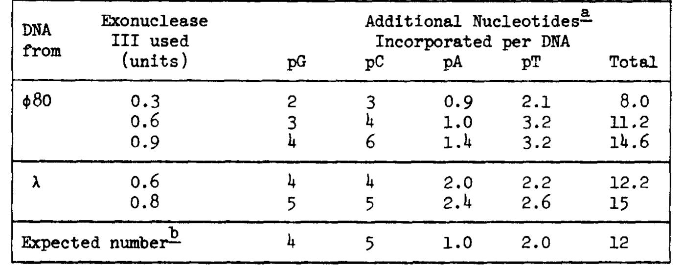 (PDF) Nucleotide sequence analysis of DNA *1, *2II. Complete nucleotide ...