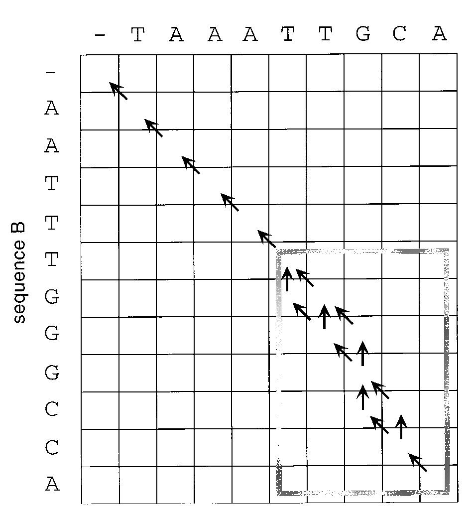 Till Matrix The traceback procedure begins at the terminal cell (bottom