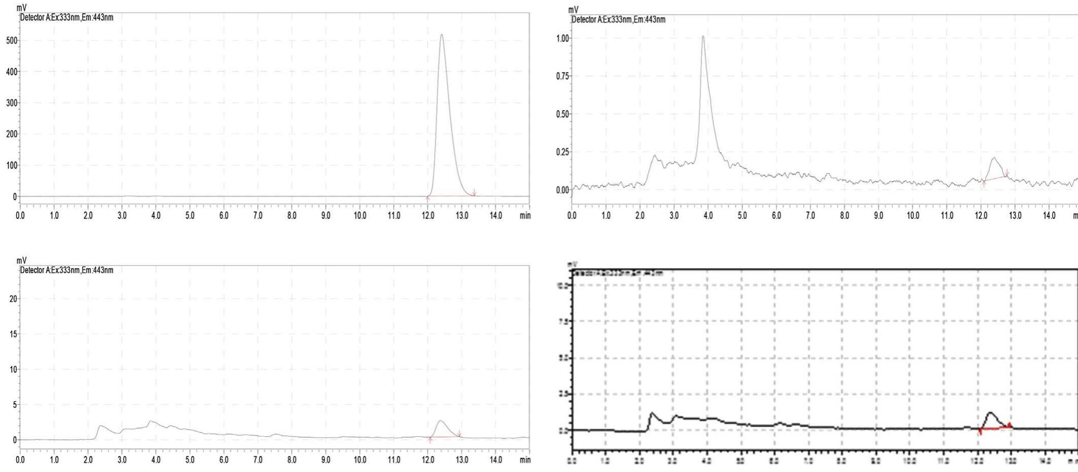 Fig. 1. HPLC chromatograms of standard (200 ng/ml, 20 jl injection volume) (top left); maize flour (top right); FFC2 (bottom left); and FFCP1 (bottom right) 