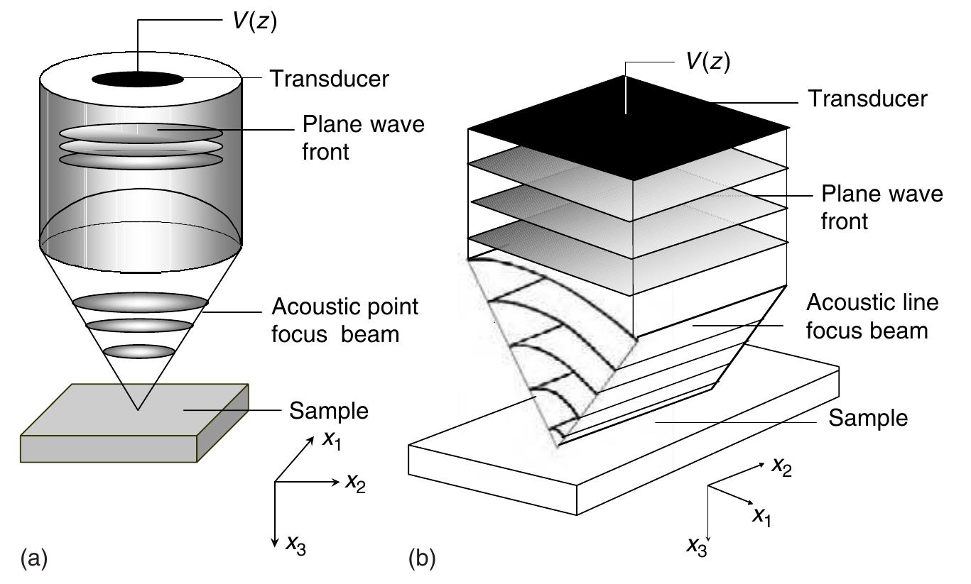 ぴこ PDF) 8. Noninvasive determination of sound speed and
