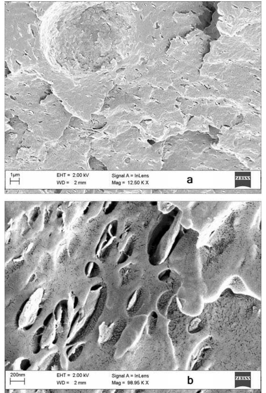 Fig. 4. Representative images from the SEM analysis, (a) GM-MC2 and (b) GM-RM2. The left upper part of (a) shows an agglomerate of OMMT. 