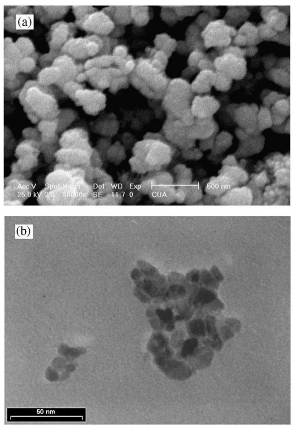 Figure 2 - from ICMMS-2: Comparative Study on Copper Oxide