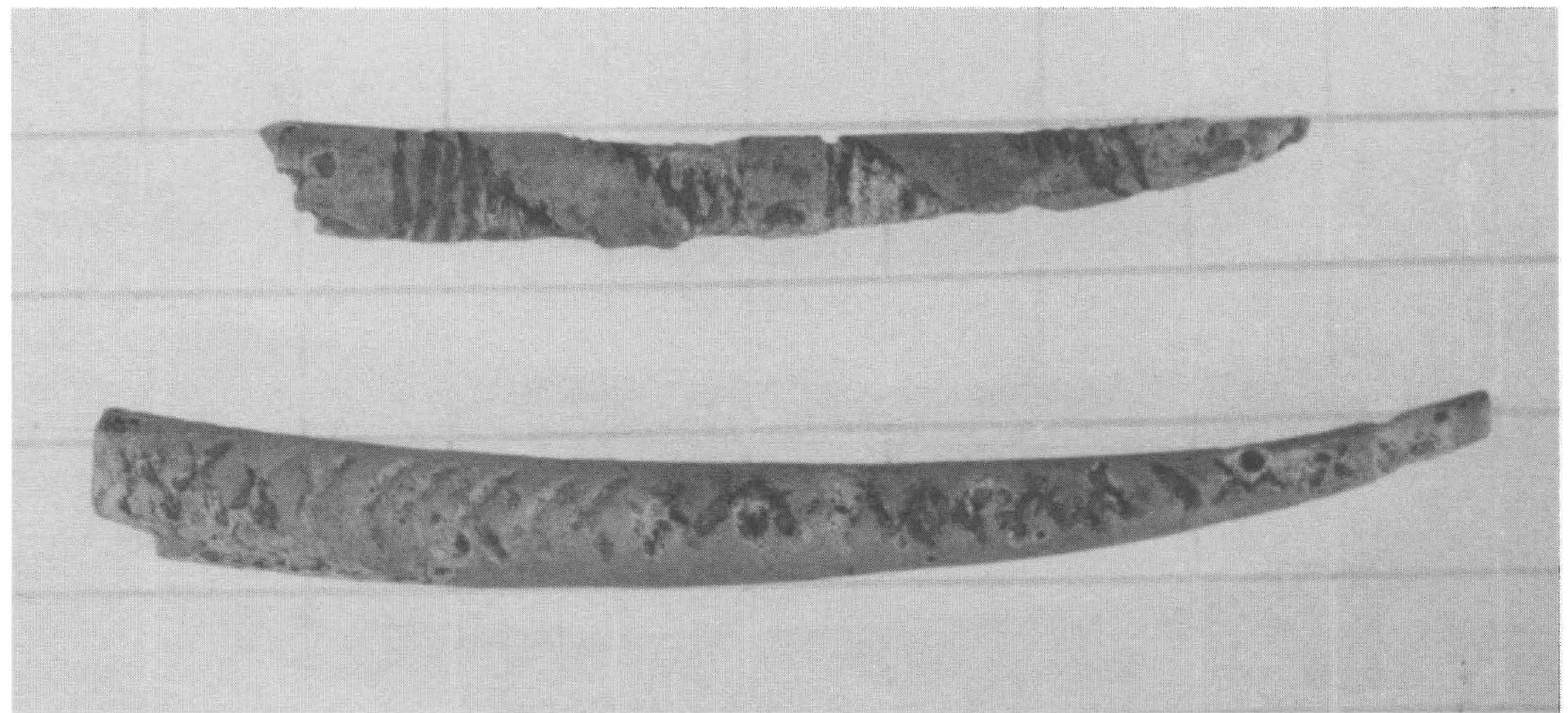 Roderick Sprague (PDF) Roderick Sprague -- Incised Dentalium Shell Beads in the Plateau ...
