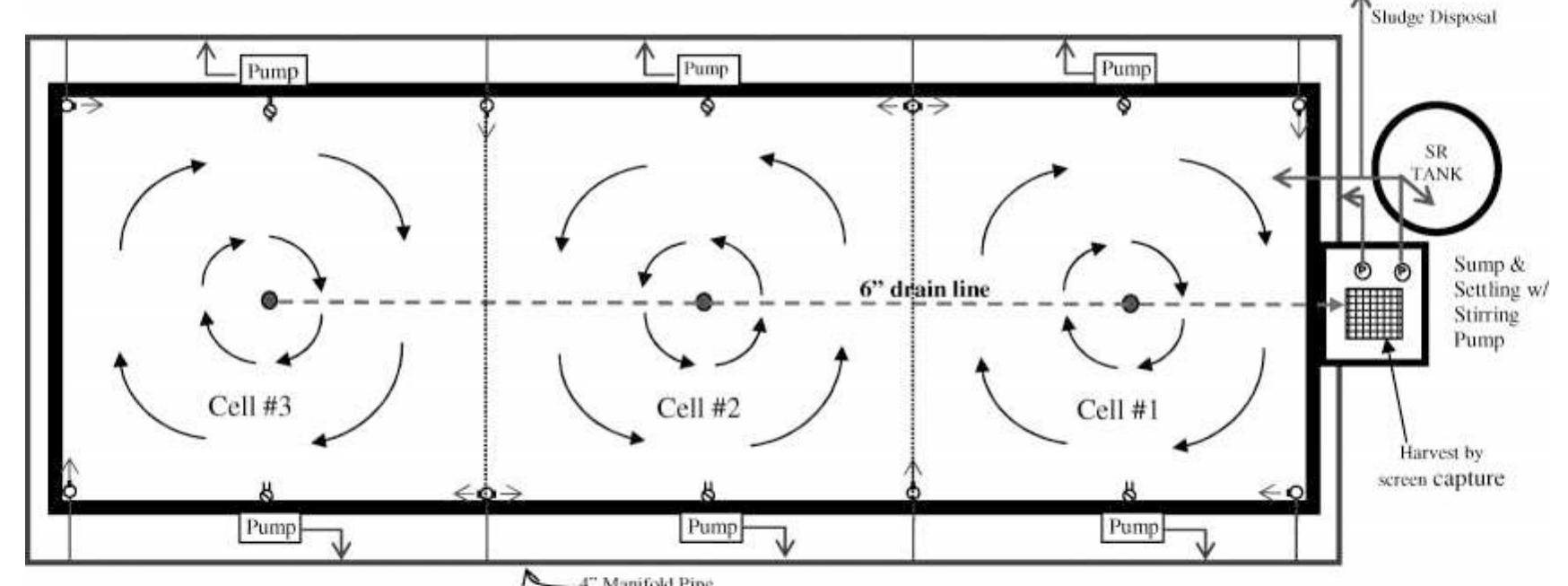 Ficure 1.— mixed-cell raceway layout and flow pattern. see