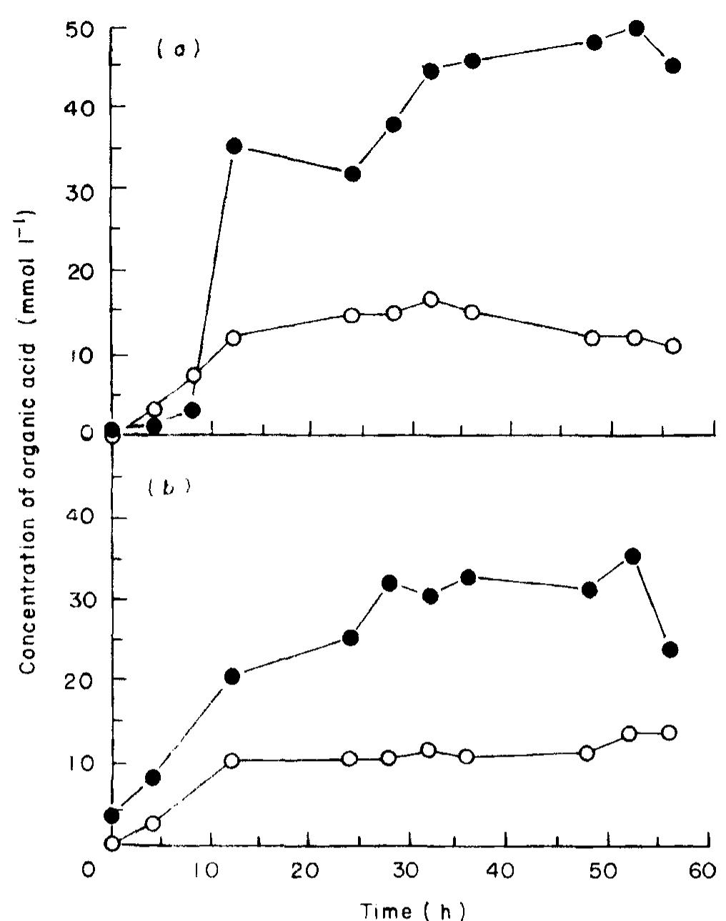 (PDF) Effects of the in vitro fermentation of oligofructose and inulin ...