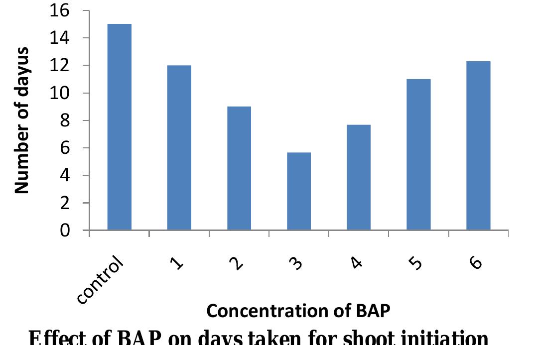(PDF) EFFECT OF BAP AND NAA ON In vitro MULTIPLICATION OF BANANA (Musa ...