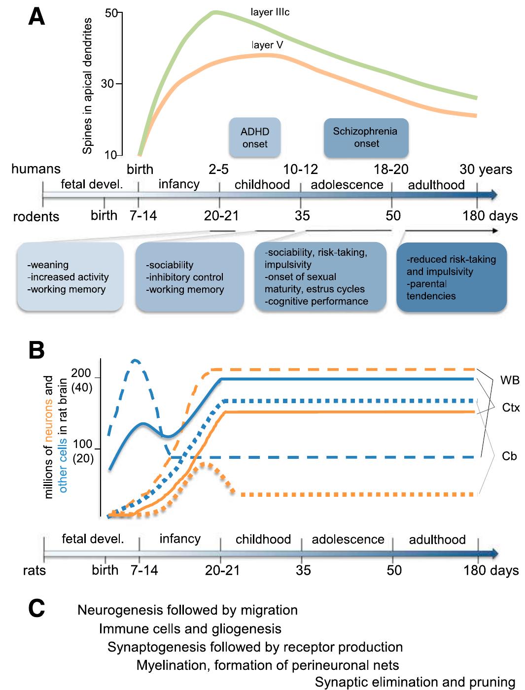 AL Dutchセット The role of extracellular vesicles in the treatment of