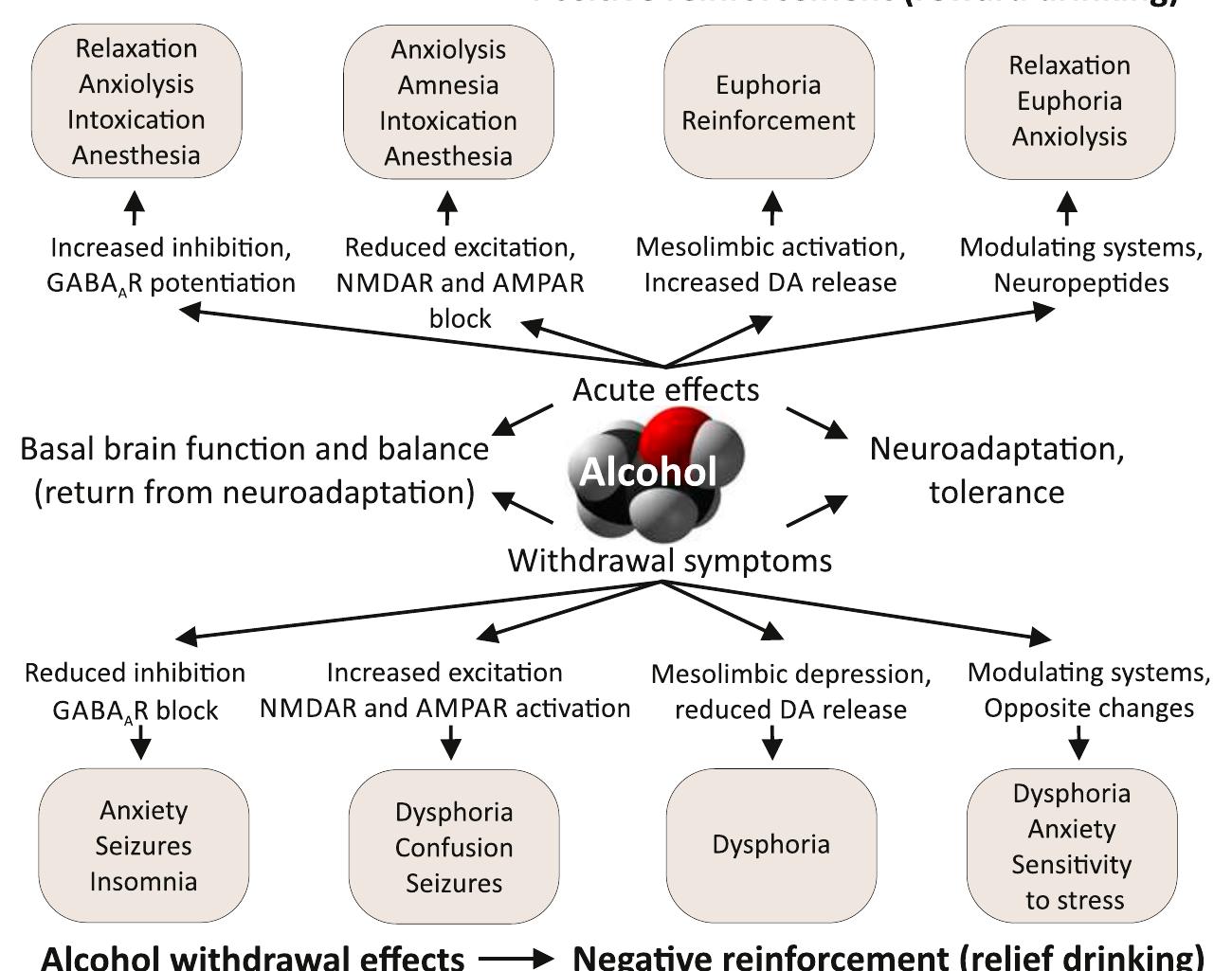 PDF) Mechanisms of Action and Persistent Neuroplasticity by