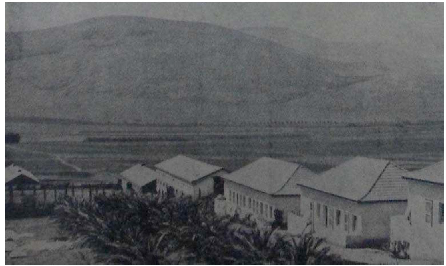 B - Fonoteca Nazionale Svizzera, image size:1560x933