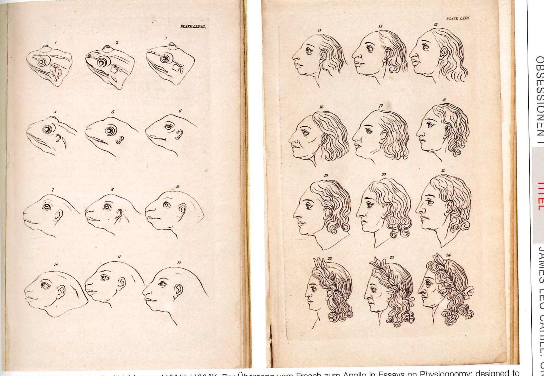 Abbildung zu Abbildung jedoch vermag den an- steigenden Pfad aus den fauligen Siimpfen zu den Gipfeln des Olymps zu illustrieren. Wo Lavater sich einen Gradmesser der Tierhaftigkeit als Ein- bahnstraBe vorstellte, analog zu der groBen Ah- nenreihe der Evolution, in der die Lebewesen in ihrer Wichtigkeit nach ihrer Nahe zum Menschen eingestuft werden, der wiederum als Gottes Ab- bild geschaffen wurde, kann man aber auch eine umgekehrte Linie sehen, die ein Abgleiten, eine Degeneration beschreibt und suggeriert, dass man den Boden unter den ach so menschlichen FiiBen auch schnell wieder verlieren kann. Der anstei- gende Pfad zum Olymp fiihrt auch zuriick in den Sumpf, und er ist glitschig. In einer 1844 im Le Magasin Pittoresque veroffentlichten Zeichnung demonstriert Grandville einen solchen méglichen Riickfall als eingedampfte Fassung des Systems Lavater, aber mit nur sechs Zwischenschritten auf dem Abstieg Apolls zum Krétendasein. Eisen- steins Zeichnungen beschleunigen den Vorgang so- gar noch mehr, und verdichten dabei die 6rtliche wie zeitliche Distanz, die zu bewahren Lavater sich bemiiht hatte. Sie geben der Juxtaposition, die, wie Lavater betonte, nur durch einen Salto Mortale zu liberwinden sei, ihre brutale Unmittelbarkeit zu-  