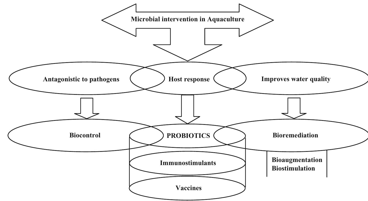 (PDF) Prospects of using marine actinobacteria as probiotics in aquaculture