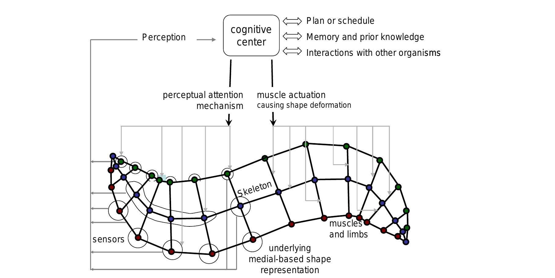 Figure 1 - from Physics-Based Deformable Organisms for