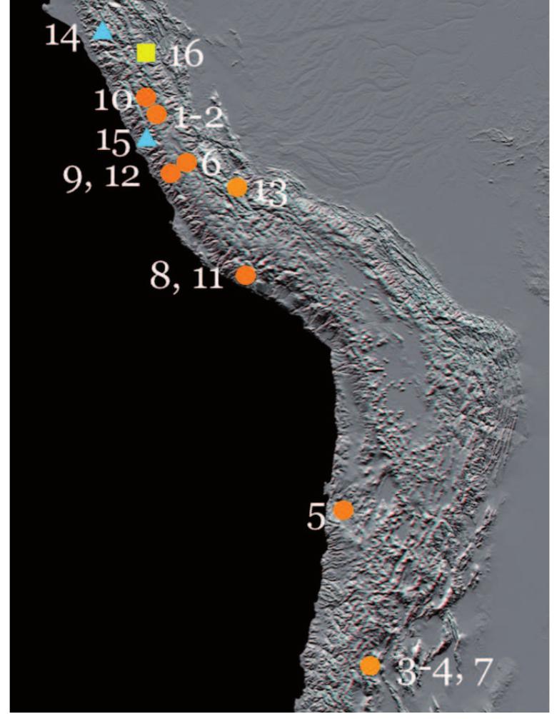 Diagram showing the variation in shell height and diameter