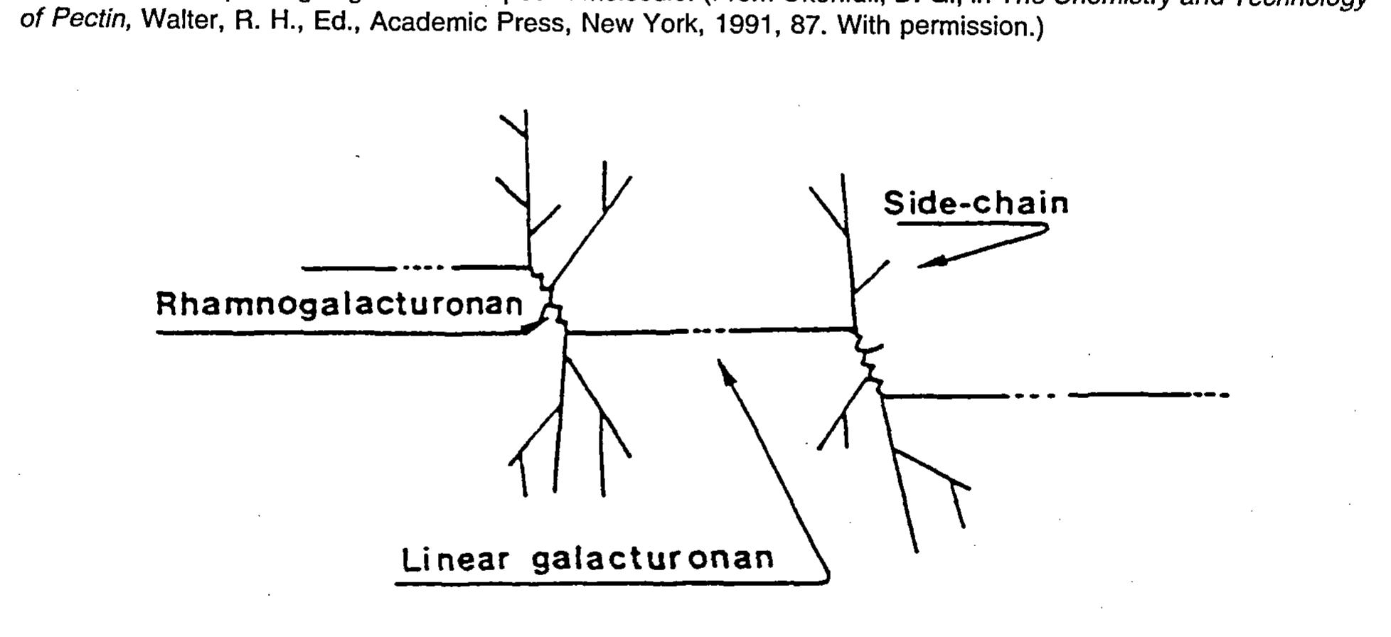 Schematic representation of pectin backbone showing the
