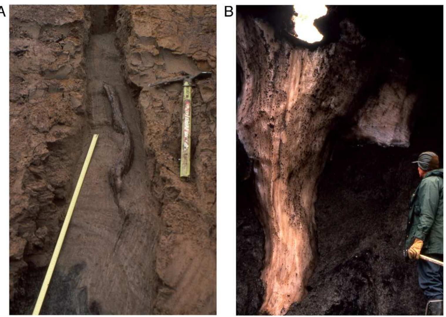 Figure 15 - from The principles of cryostratigraphy