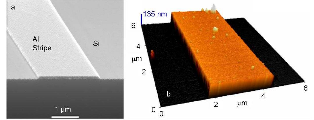 High resolution microscopy images of the fabricated spp