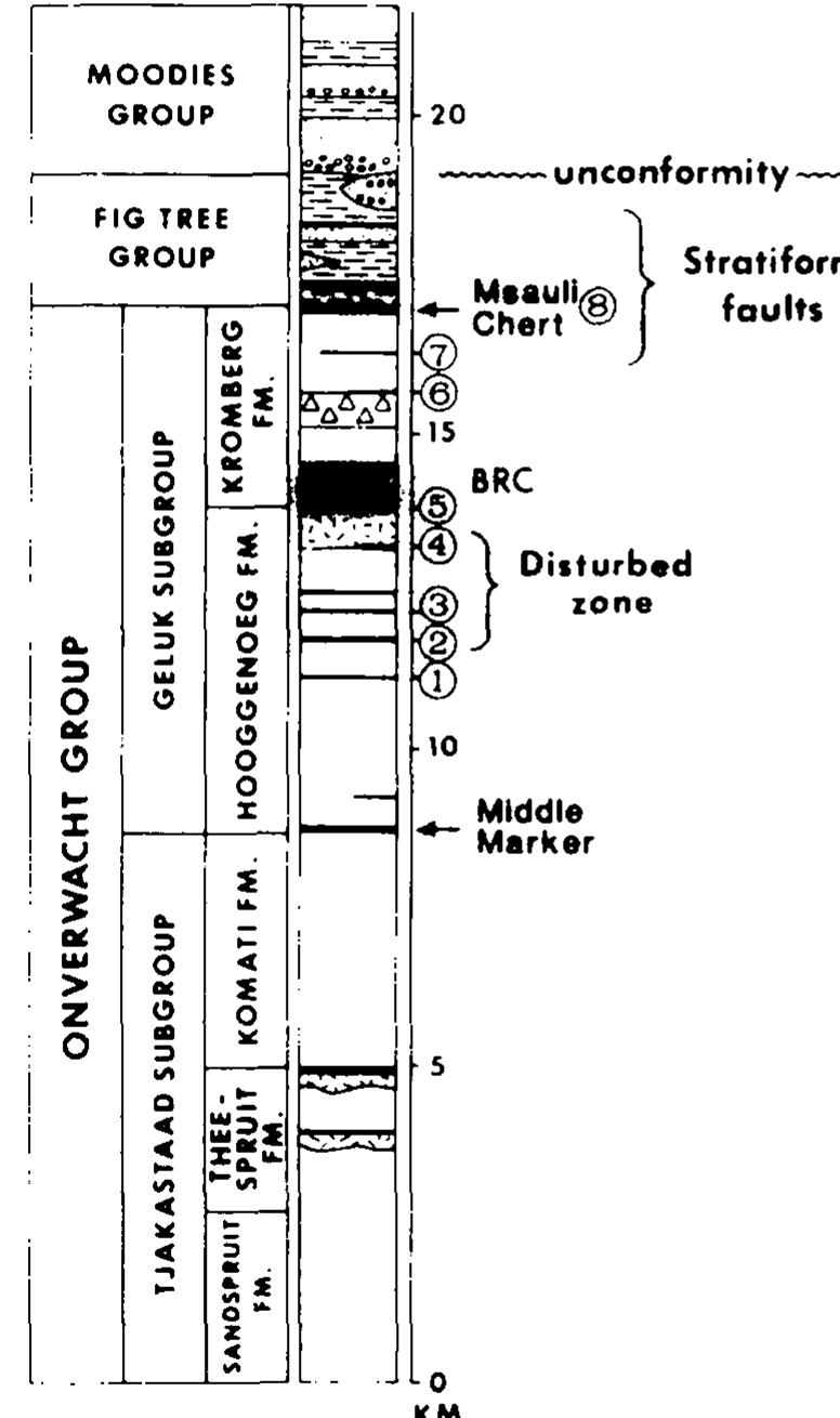 (PDF) Stratigraphic and sedimentological evidence bearing on structural ...