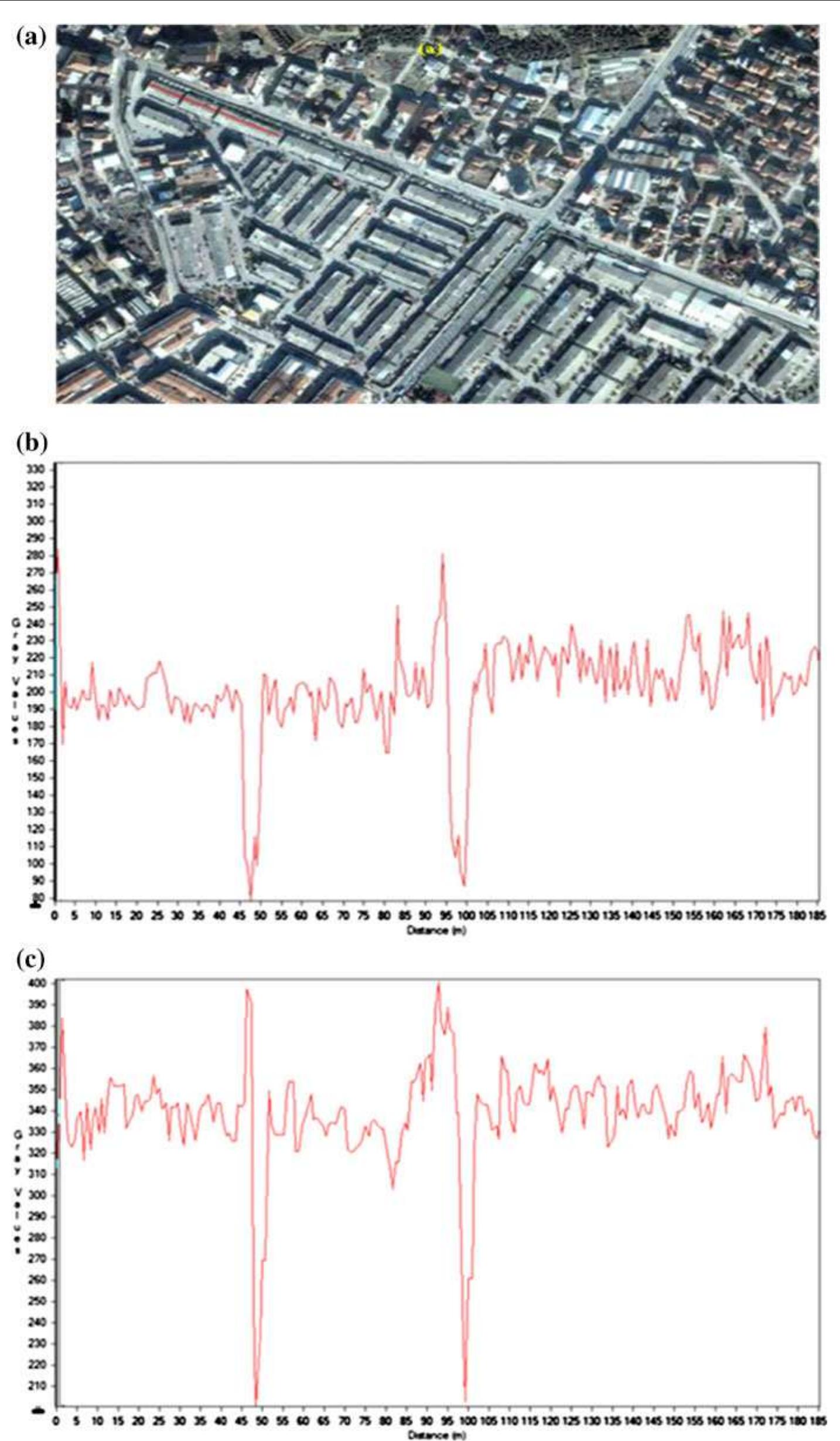 Orbview Figure 4 - from Comparison of Planimetric and Thematic